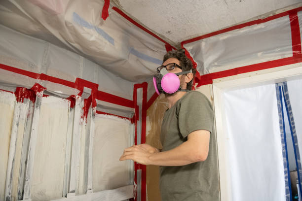 Professional Mold Inspection, Removal & Remediation in Glen Carbon, IL